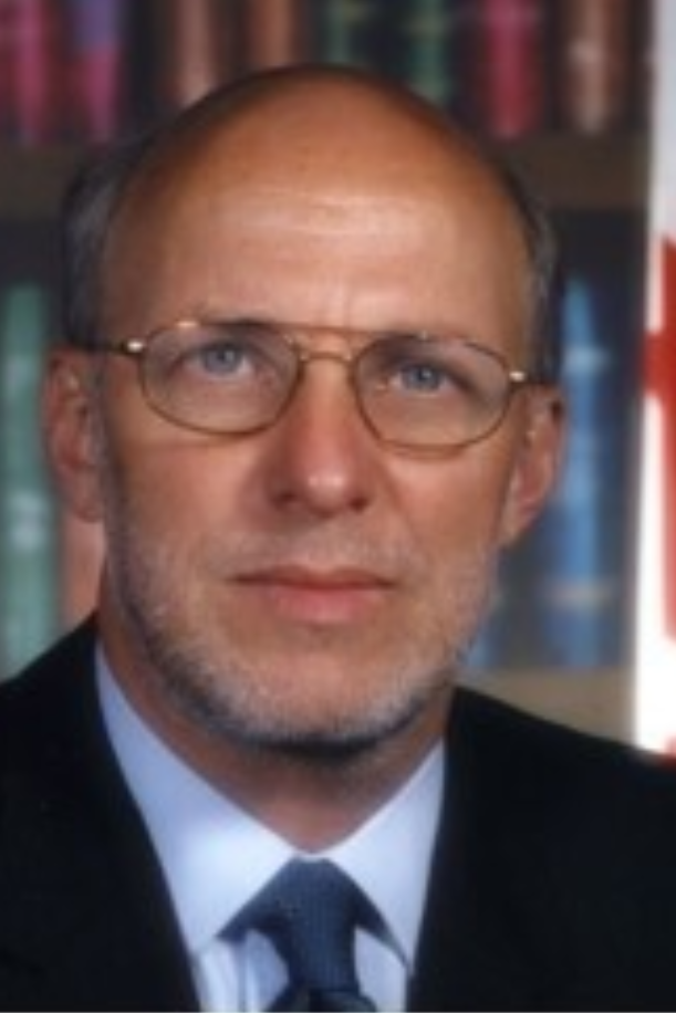 ديفيد فيفيش Consultant
